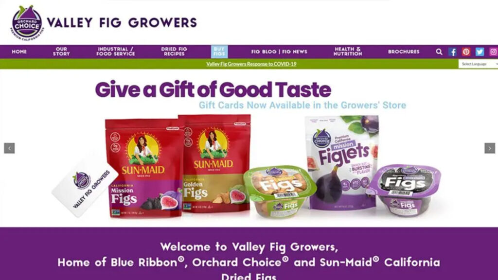 valley fig growers website design and development